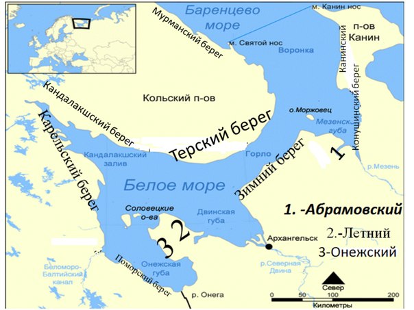 Белые заливы на карту. Граница белого и Баренцева моря. Границы Баренцева моря на карте. Проливы Баренцева моря на карте. Граница белого и Баренцева моря на карте России.