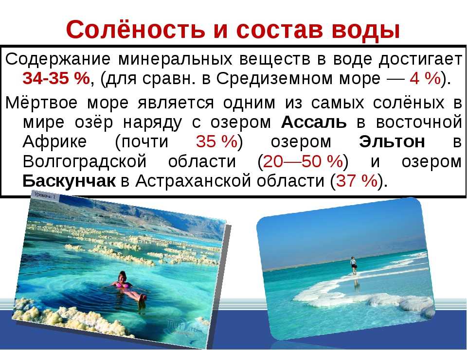 Какая соленость океана. Соленость мертвого моря. Мёртвое море солёность воды в промилле. Мёртвое море саленость. Мёртвое море солёность воды в процентах.