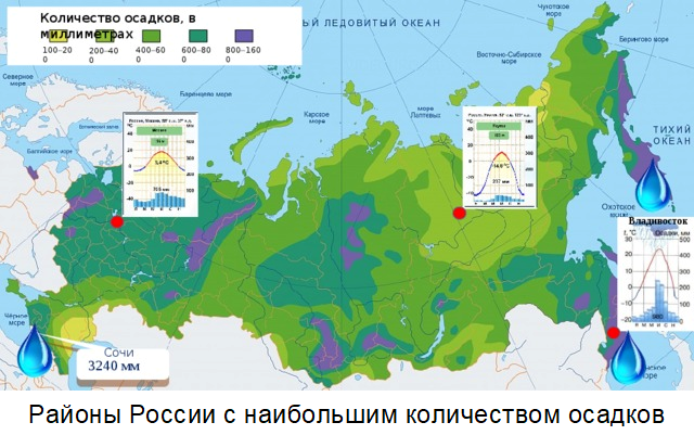 Карта осадков чаща. Карта осадков на территориия Росси.