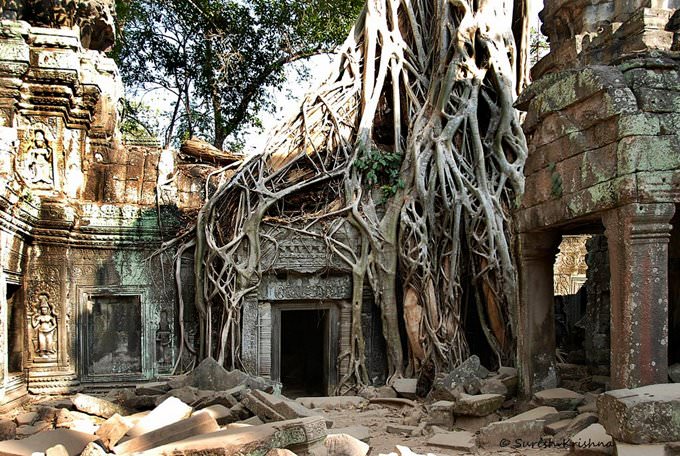 Ta Prohm, Siem Reap, Cambodia