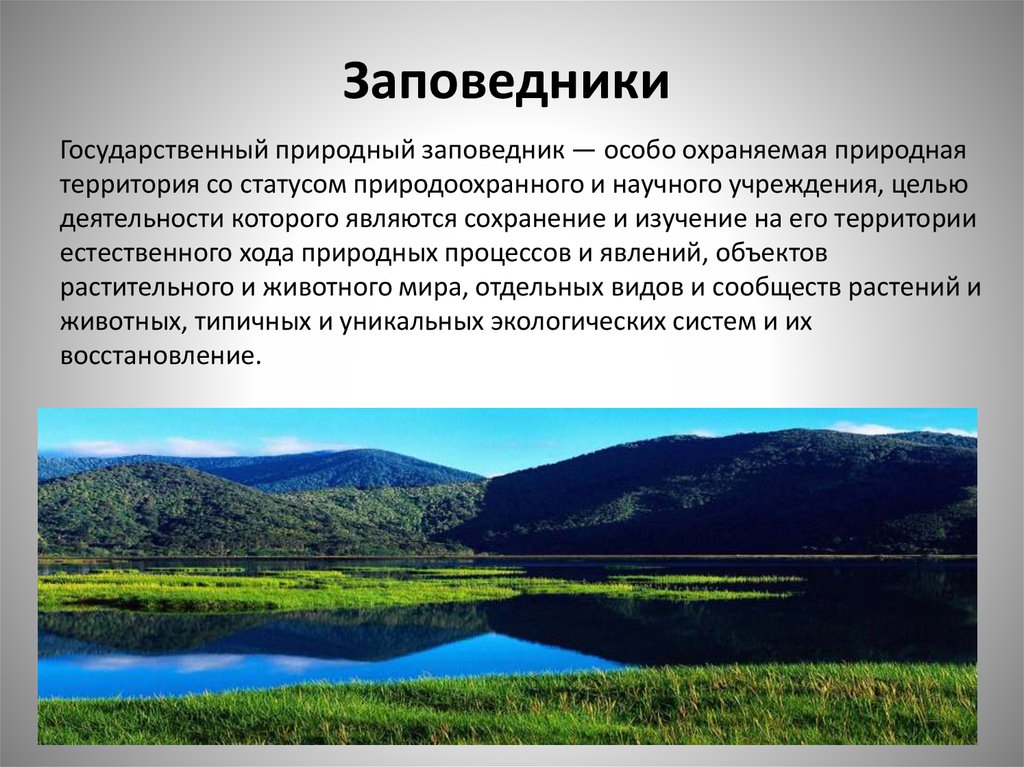 Презентация на тему заповедники россии 8 класс география