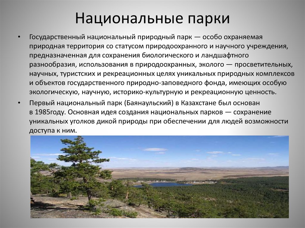 Особенности природных парков. Национальный парк термин. Термины национальные парки. Национальный парк доклад. Национальный парк характеристика.