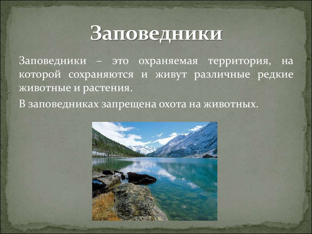 Зачем нужны заповедники. Что такое заповедник кратко. Специальный заповедник это. Шаблон для презентации доклада заповедники. Зеленые заповедники доклад.