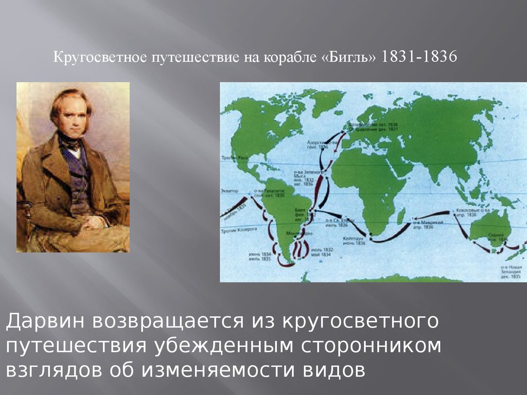Ч дарвин кругосветное путешествие. Кругосветное путешествие Чарльза Дарвина. Карта путешествия Чарльза Дарвина на корабле Бигль.