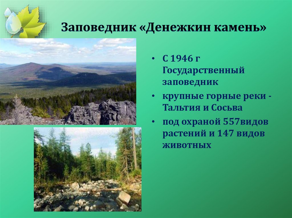 Охраняемые территории свердловской области. Заповедники Урала Денежкин камень. Заповедник Денежкин камень Свердловской области. Сообщение Денежкин камень Свердловская область. Денежкин камень и Висимский заповедник.