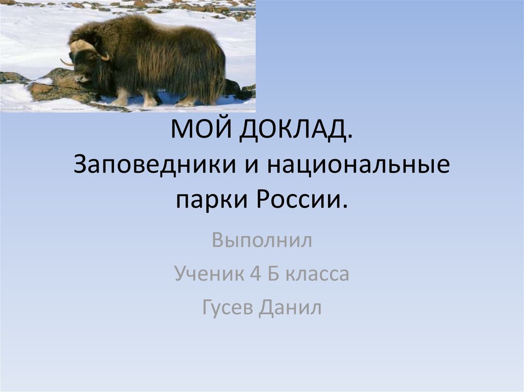 Проект по окружающему миру 4 класс заповедники и национальные парки россии с картинками презентация