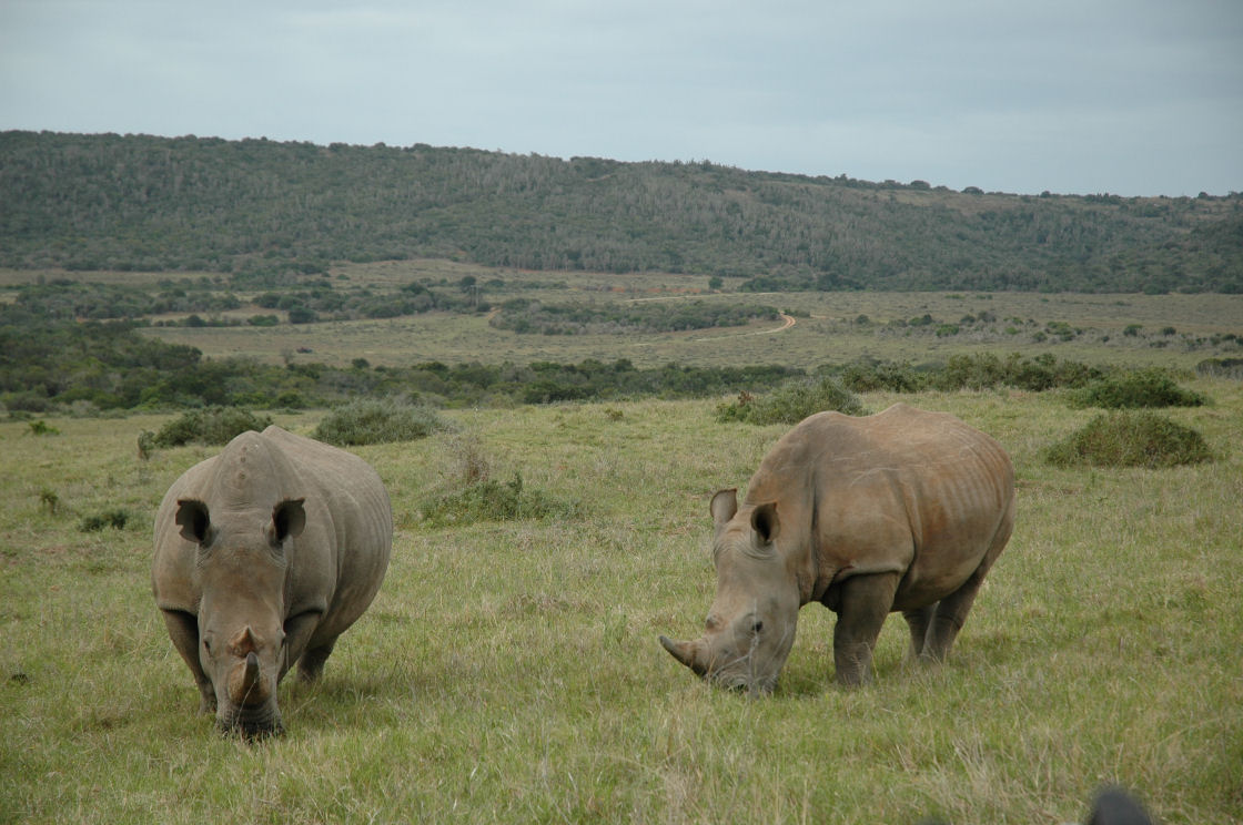 Garamba National Park