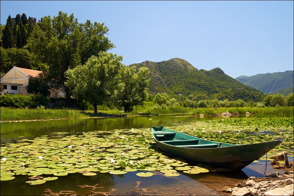 Что посмотреть в Черногории самостоятельно на машине Скадарское озеро