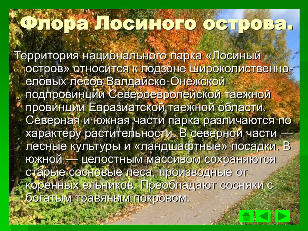 Проект национальный класс. Национальный парк Лосиный остров рассказ. Проект национальные парки Лосиный остров. Рассказ о заповеднике Лосиный остров. Основные сведения о национальном парке Лосиный остров.