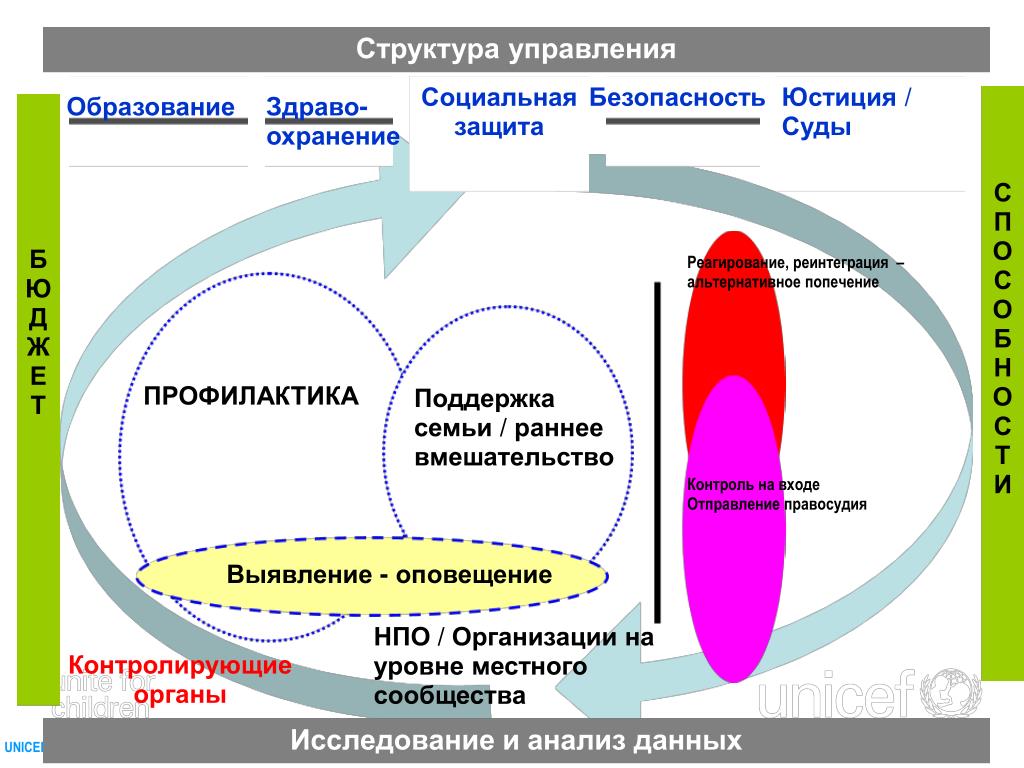 Реинтеграция. Органы управления системы защиты детей. Социальная реинтеграция это. Реинтеграция это в международном праве. НПО образование.