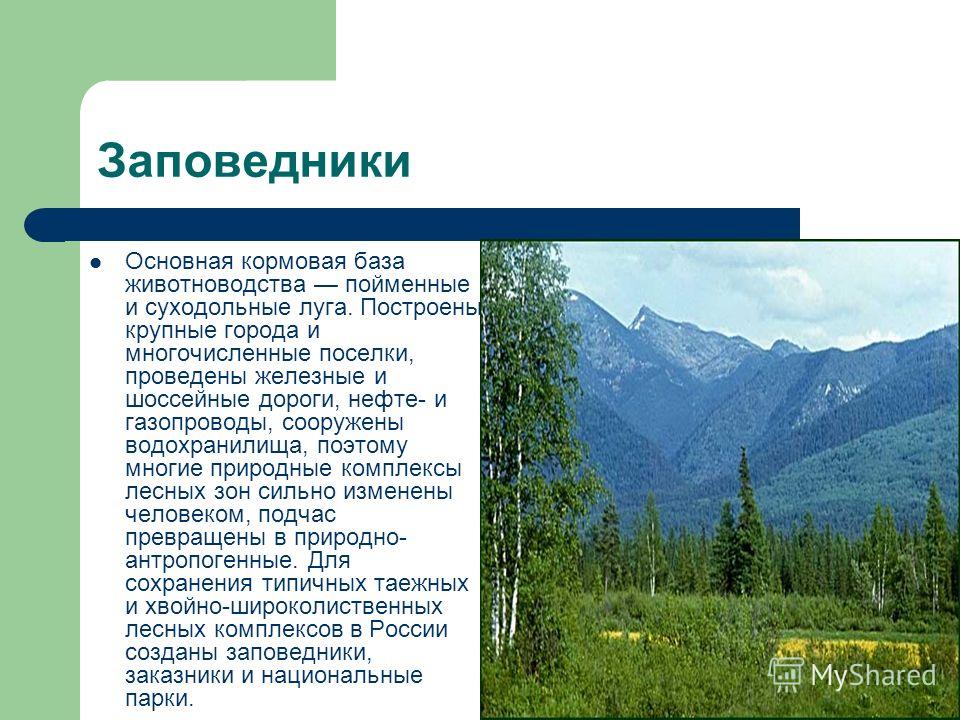 Запиши названия заповедников. Заповедники Лесной зоны. Заповедники в зоне лесов. Заповедники широколиственных лесов в России. Смешанные и широколиственные леса России заповедники.