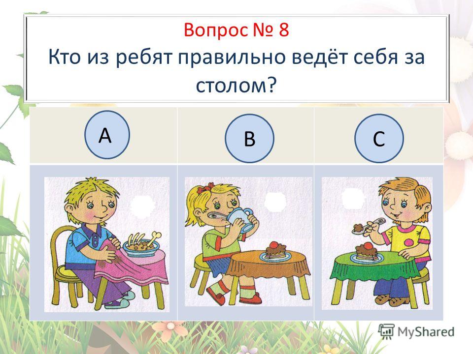 Веди верно