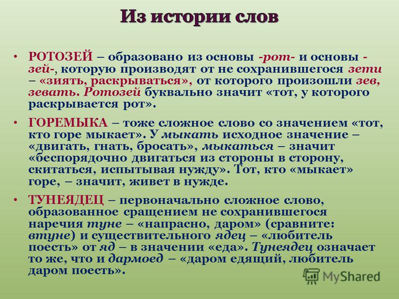 Что обозначает история. Из истории слов. История слова. История слова история. Рассказ из сложных слов.