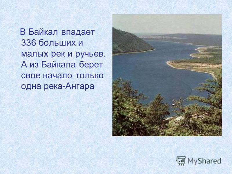 Сколько озер впадает в байкал. Река Селенга впадает в Байкал. Река Ангара впадает в озеро Байкал. В Байкал впадает 336 рек. Ангара впадает в Байкал карта.