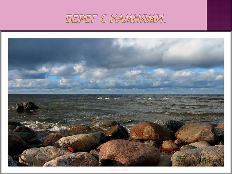 Береговая линия балтийского. Проблемы экологии Балтийского моря. Климат Балтийского моря. Береговая линия Балтийского моря. Сообщение о Балтийском море.