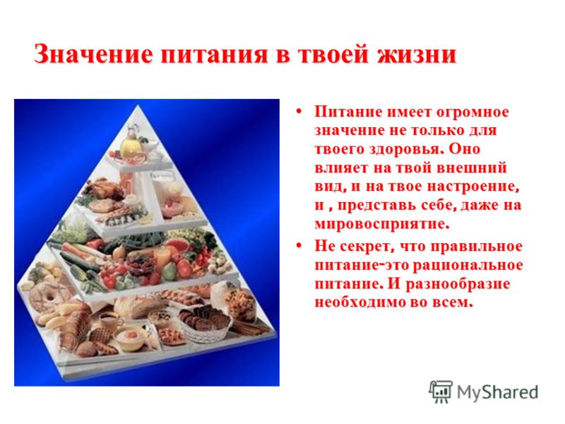 Что означает еда. Значение питания. Значение питания в жизни человека. Значение правильного питания в жизни человека. Значение пищи в жизни человека.