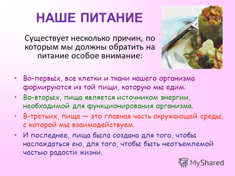 Питание вв что это значит в отеле. Мы есть то что мы едим. Что мы едим презентация. Всё о нашем питании. Пища которую мы едим.