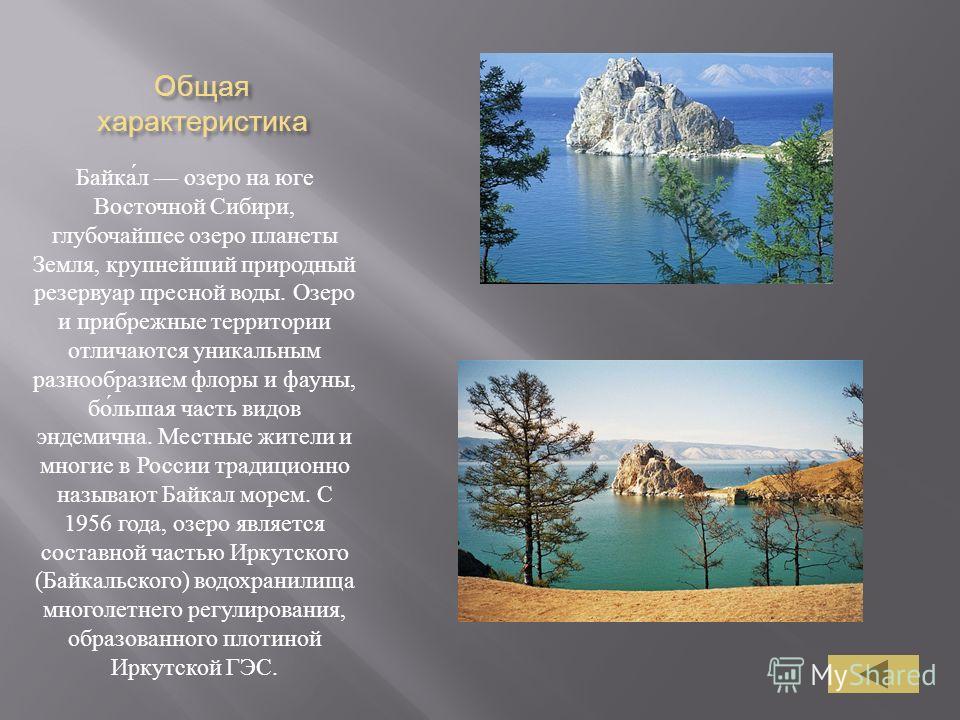 Проект про озера. Озеро Байкал доклад. Доклад на тему озера. Презентация на тему озера. Доклад про озеро.