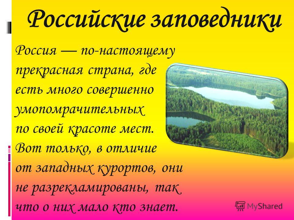 Рассказ о заповеднике 1 класс окружающий мир татарстана для детей с картинками