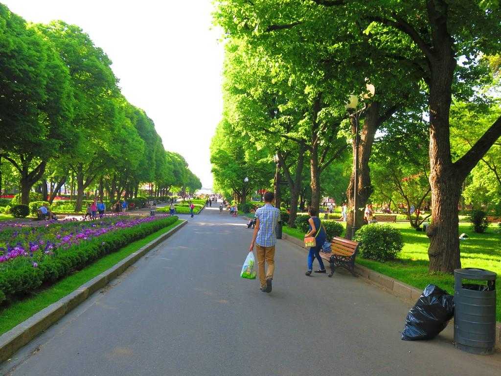 Фото московских парков. Парк культуры имени Горького. Горьковский парк Москва. Парке, Горького, Москва, парк,. Прогулочная набережная ЦПКИО им. Горького.