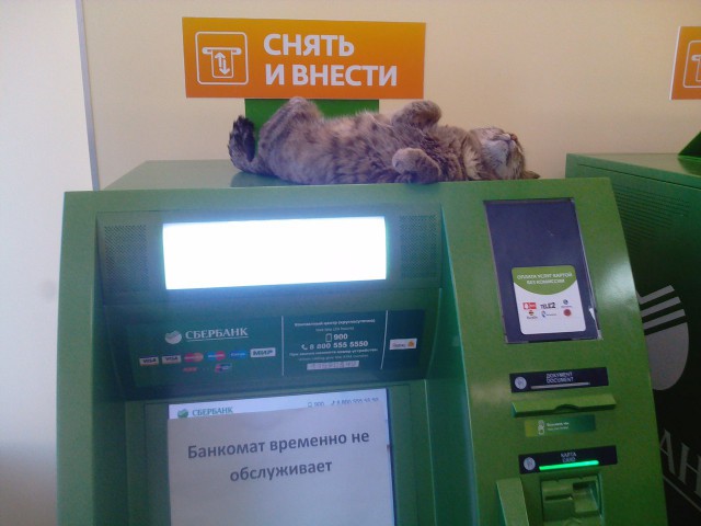 Банкомат сбербанка съел. Центробанк Банкомат. Банкомат временно не обслуживает. Интересные банкоматы. Банкомат Сбер в Крыму.