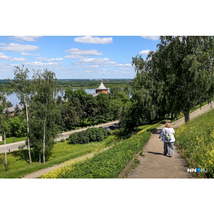 Где погулять в сургуте. Где можно погулять в Нижнем Новгороде красивые места летом. Где можно погулять в Брянске красивые места. Где можно гулять в Нижнем Новгороде. Где можно погулять в городе Киров.