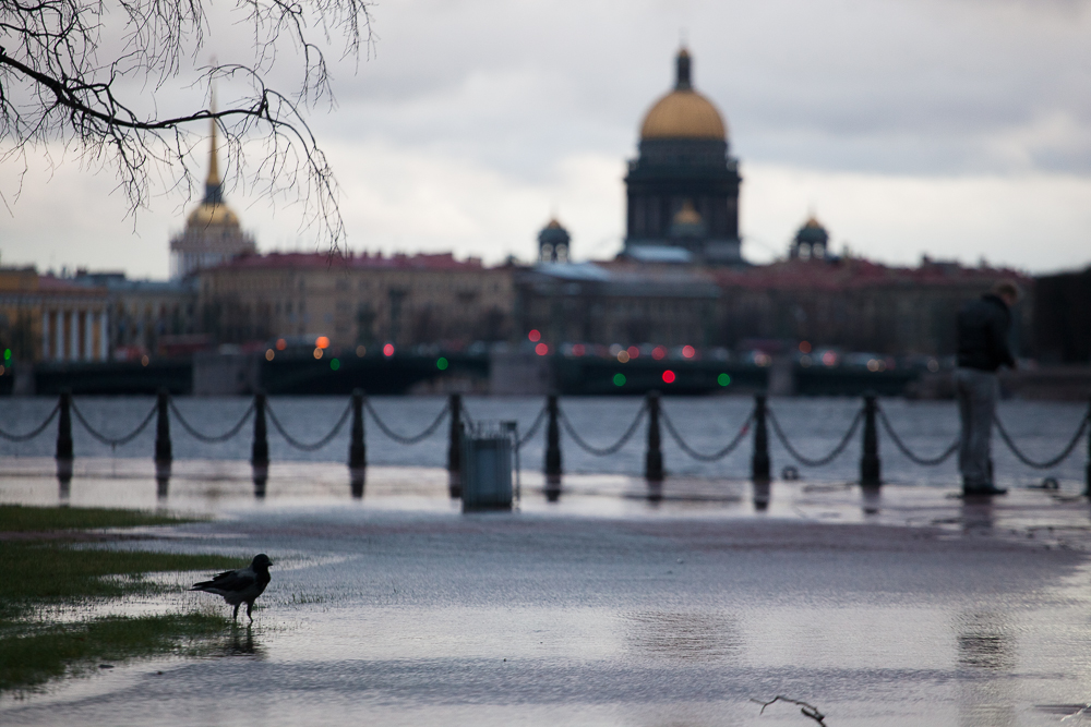 Пасмурный питер. Дождливый Петербург. Санкт-Петербург дождь. Дождь в Питере.