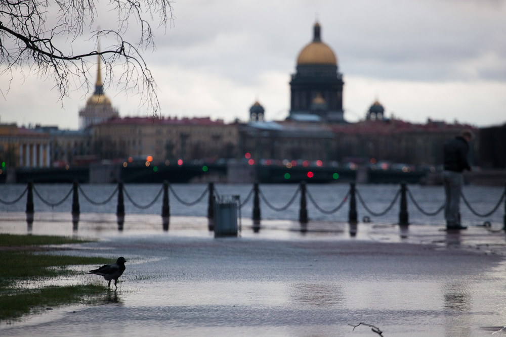 Холодно спб. Зима пасмурно Питер. Пасмурный Петербург весной. Пасмурный ноябрь в Петербурге. Питер зимой пасмурно.