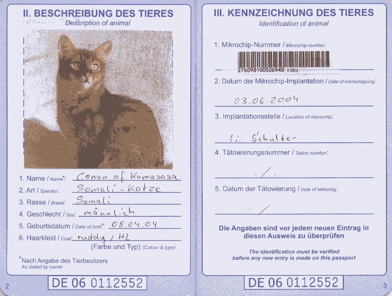 Фото на кошачий паспорт требования