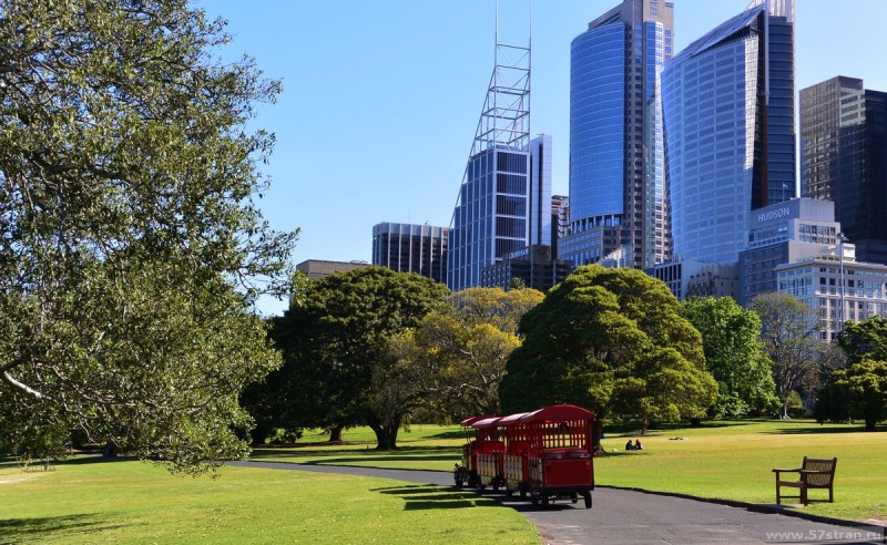 Трамвай - ботанические сады Сиднея