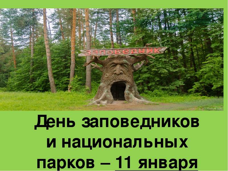 День заповедников и национальных парков 11 января