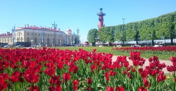 Куда пойти в Санкт-Петербурге туристу в первый раз