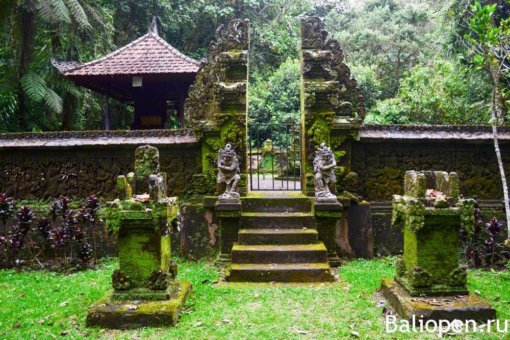 Ботанический сад на Бали, здесь живут эльфы и гномы.