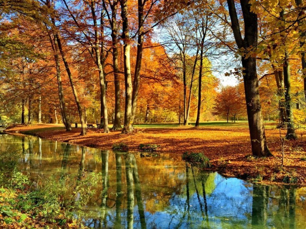 Англиский Парк осенью в Мюнхене