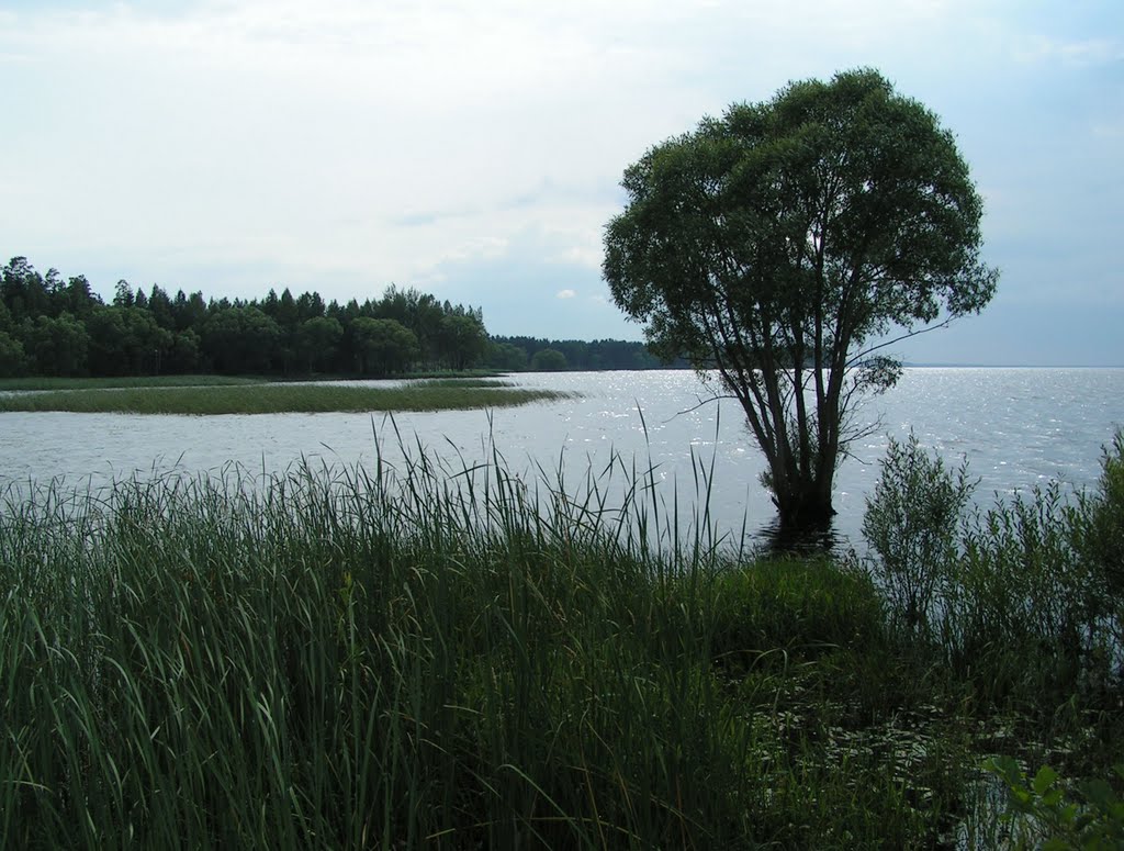 реки и озера беларуси