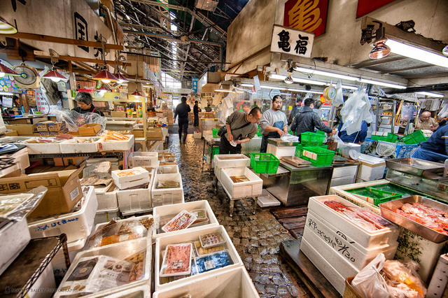Рыбный рынок Цукидзи, Токио. Фото: 100mt.ru