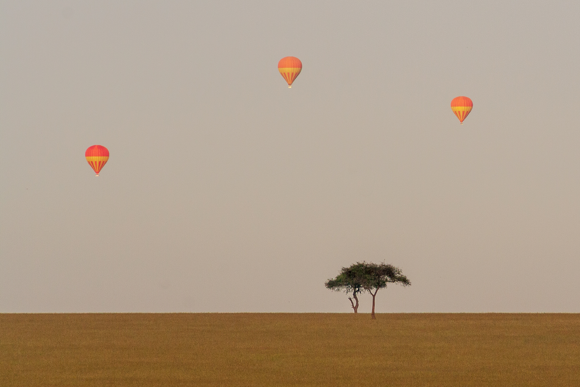 Сафари на воздушном шаре в Масаи Мара