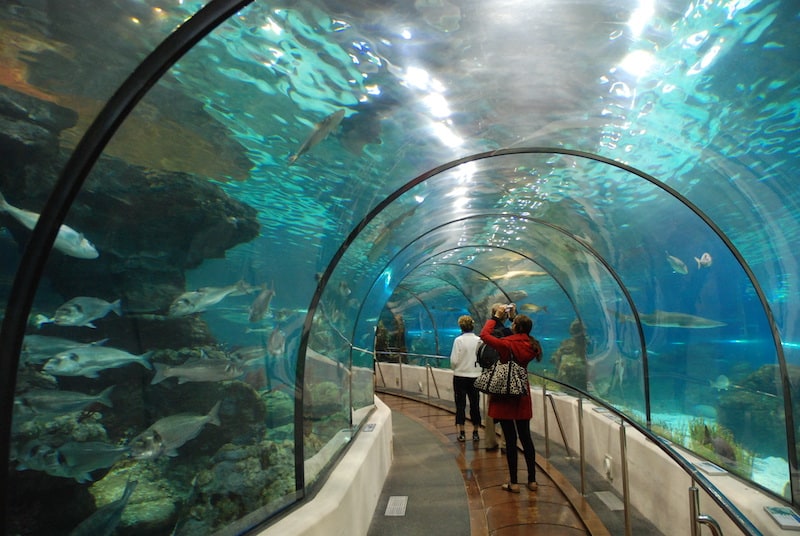 Аквариум Барселоны - Barcelona Aquarium