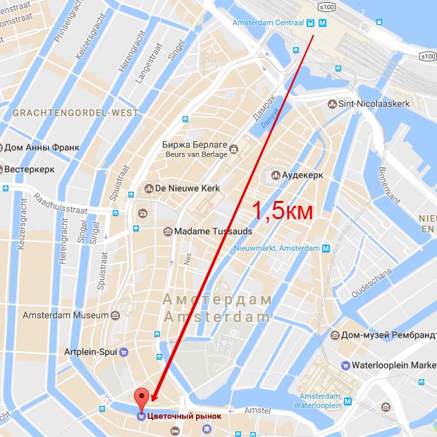 Дорога к Цветочному рынку Амстердама