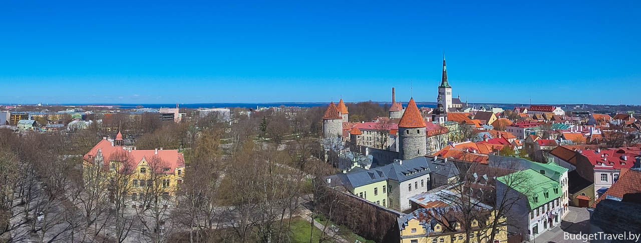 Панорама Смотровой Паткули в Таллине