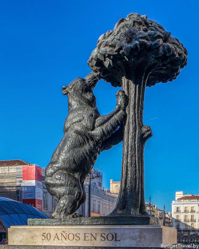 Медведь и Земляничное дерево, Мадрид