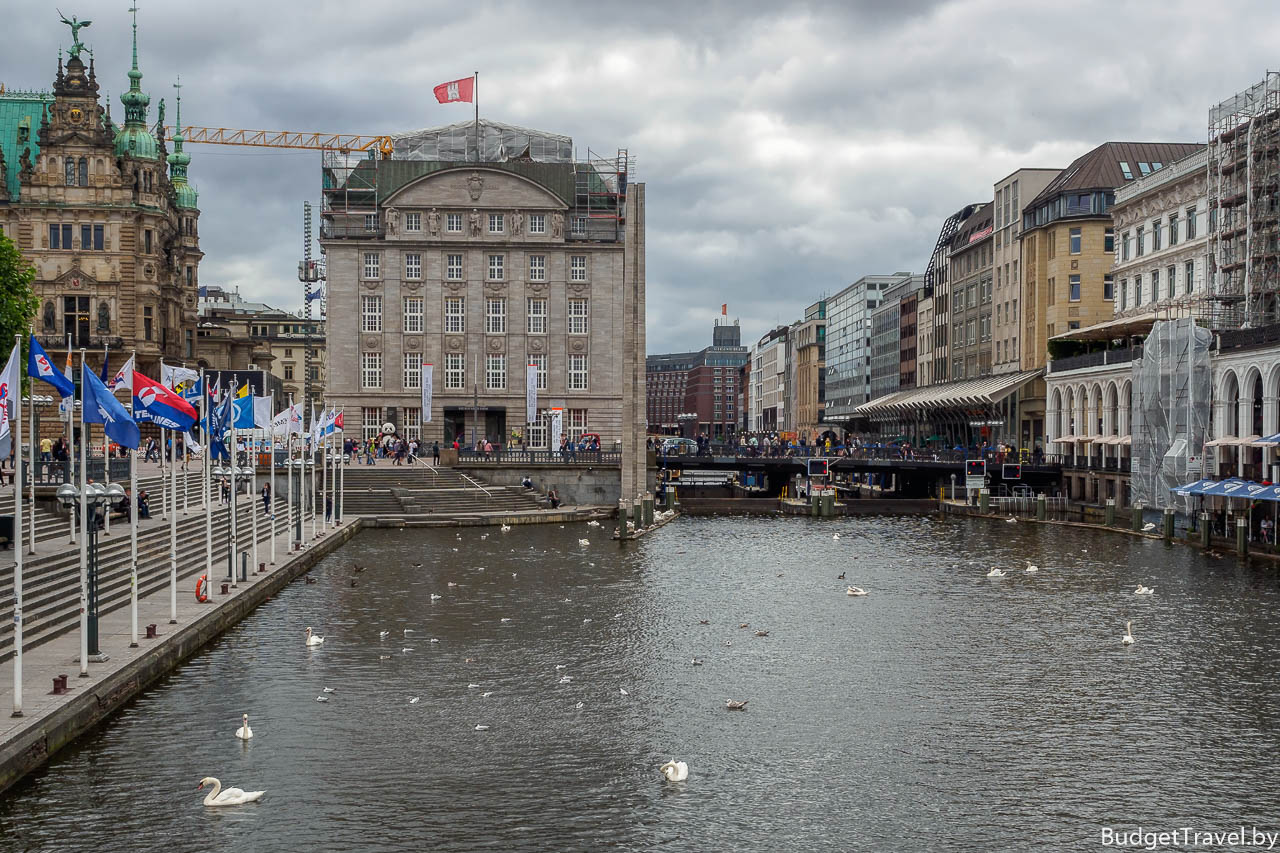 Лебеди в Гамбурге