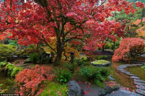 Самые прекрасные ботанические сады мира (20 фото)