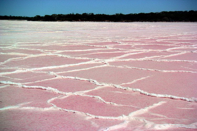 Соль на берегу Озера Хиллер