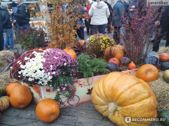 Осенний гастрономический фестиваль "Золотая Осень", Москва фото