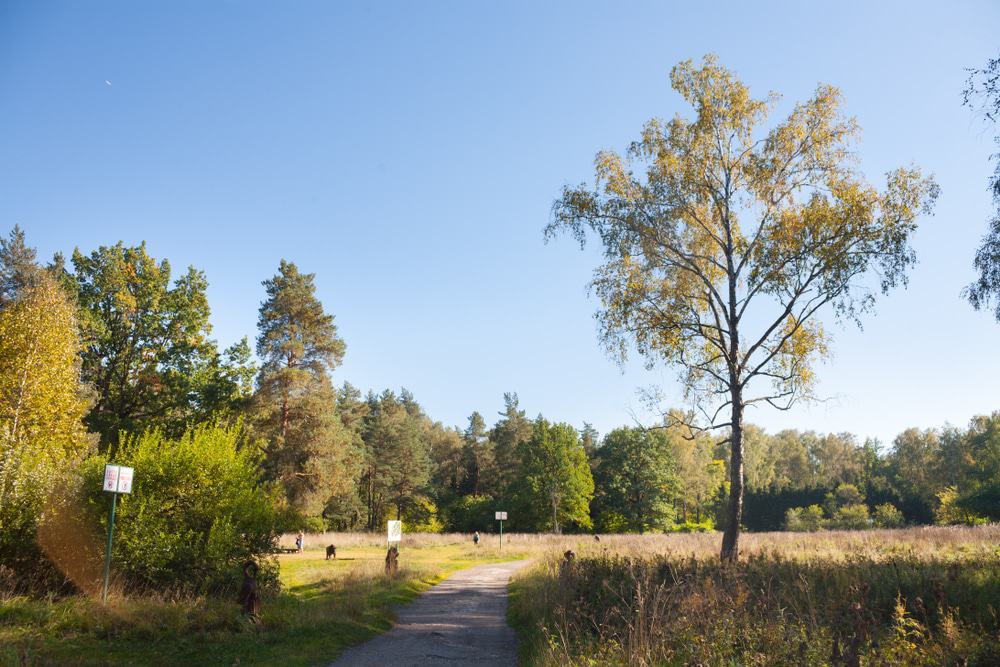 Losiny Ostrov National Park