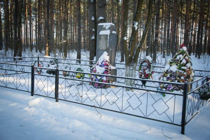 Фотэкскурсия: жизнь в белорусской деревне (87 фото)