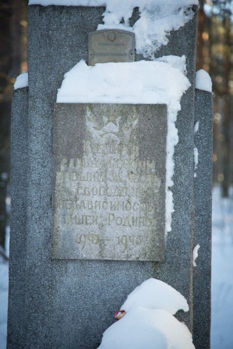 Фотэкскурсия: жизнь в белорусской деревне (87 фото)