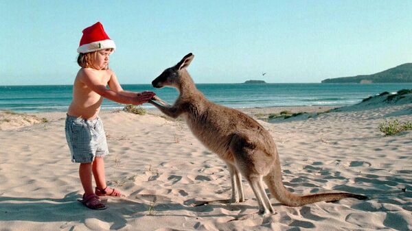 Девочка с кенгуру на пляже к югу от Сиднея, Австралия