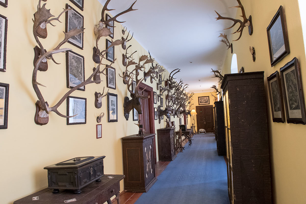 Зал трофеев охоты замка Нелагозевес украшен множеством рогов копытных животных, образцы мебели с использованием коры деревьев и рогового вещества.